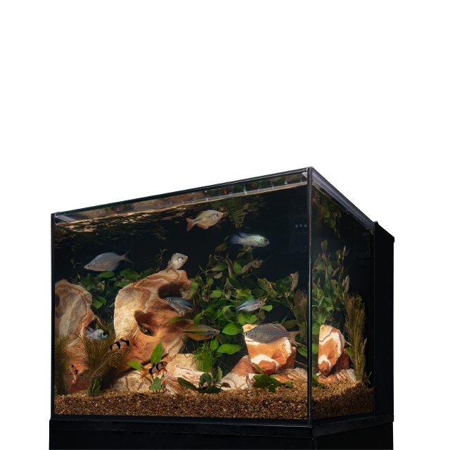 Marineland 29 hot sale gallon aquarium hood